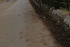 IMG-20190413-WA0014